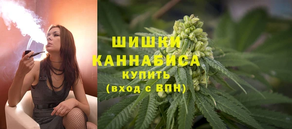 a pvp Ельня