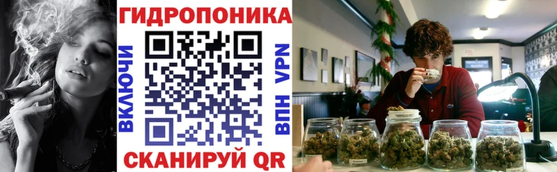 Купить где Киселёвск Каннабис гибрид